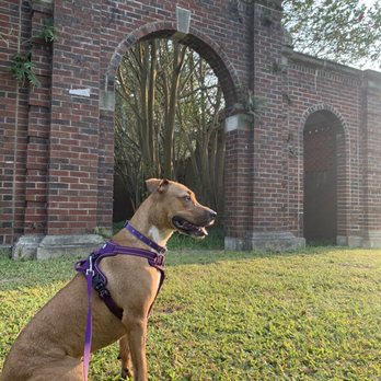 Audubon Park - Parks Near Me - New Orleans, Louisiana