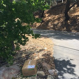 delivery left on street, not porch
