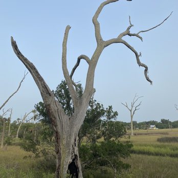 Cradle Creek Preserve - Parks Near Me - Jacksonville Beach, Florida