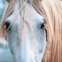Photo of Nicole Cranford Photography