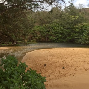 Moloa'a Beach - Beaches Near Me - Kilauea, Hawaii