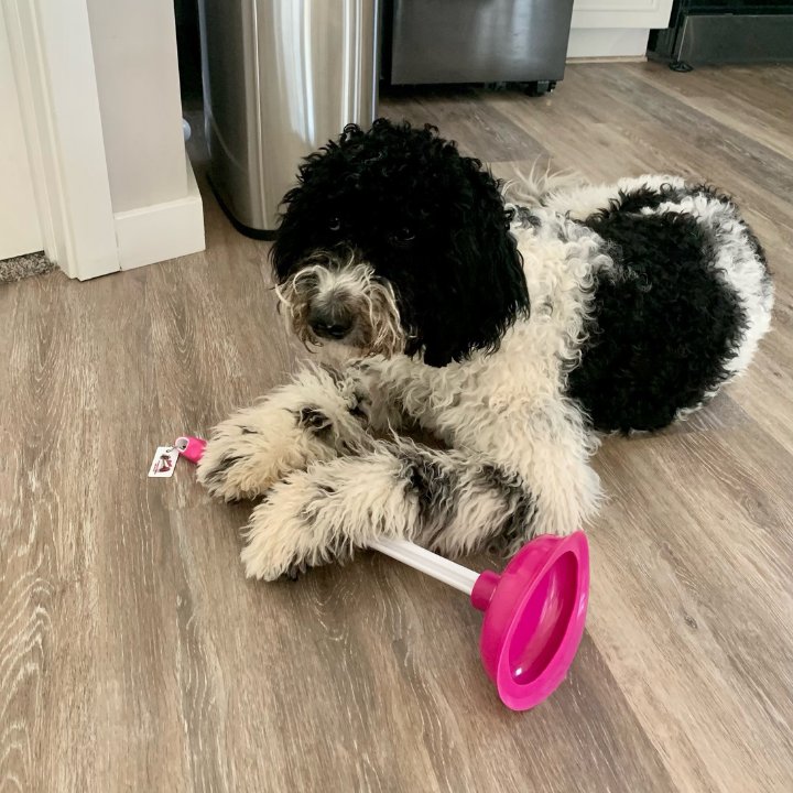 Slide of 1-Tom-Plumber