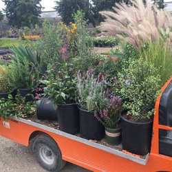 Abe Nursery