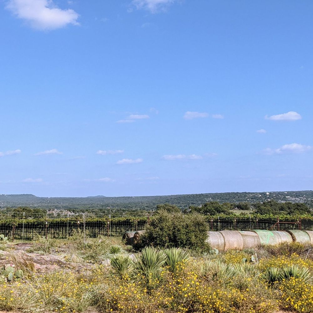 Torr Na Lochs - Vineyard - Wineries Near Me - Burnet, Texas Torr Na Lochs - Vineyard - Wineries Near Me - Burnet, Texas