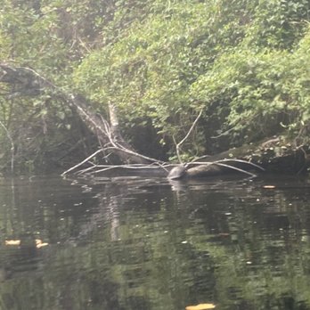 Coconut Kayak Tours - Rafting/Kayaking Near Me - Clearwater Beach, Florida