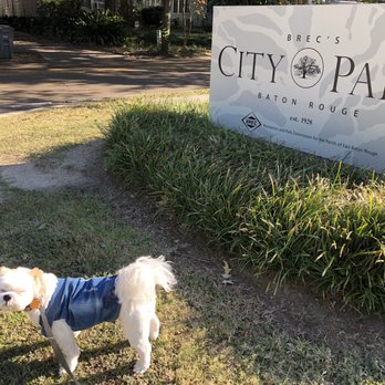 City Park Lake - Local Flavor Near Me - Baton Rouge, Louisiana