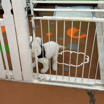 Under One Woof - Pet Groomers Near Me - Alameda, California Under One Woof - Pet Groomers Near Me - Alameda, California