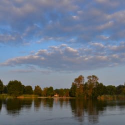 Niederwiesenweiher