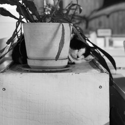 Mingo RV Park - Laundry supurrrvisor