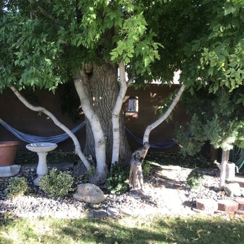 Big Yellow Inn - Backyard - Hotels Near Me - Cedar City, Utah Big Yellow Inn - Backyard - Hotels Near Me - Cedar City, Utah