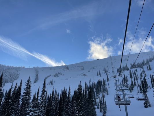 Schweitzer by null