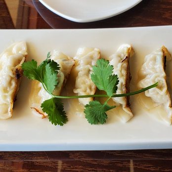 Otsuka Ramen - Gyoza - Ramen Near Me - Tampa, Florida