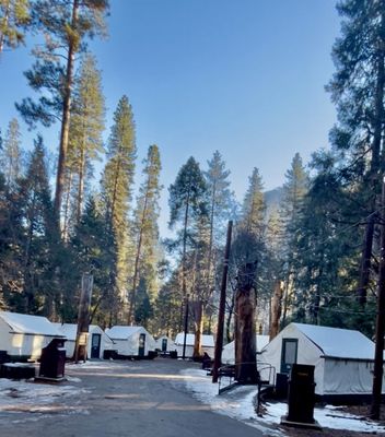 Curry Village by null