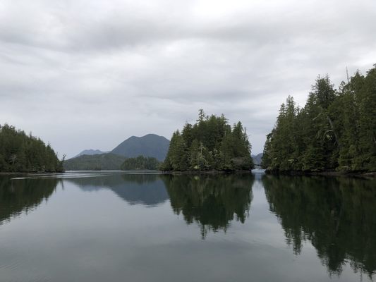 Meares Island by null