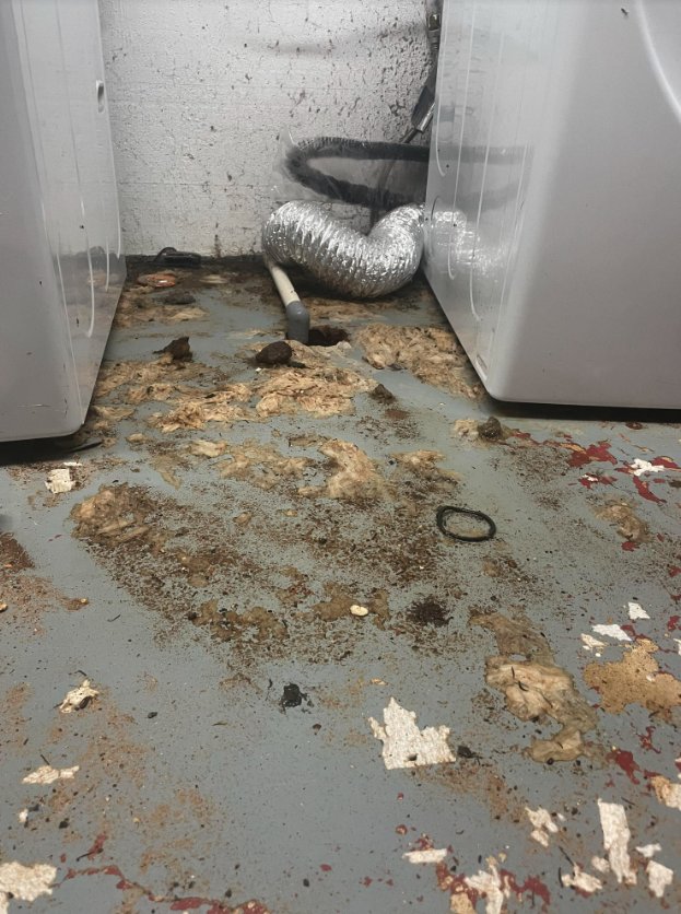 Slide of Plumbing and Draincare