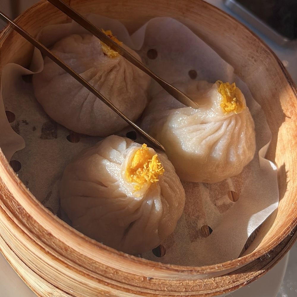 Novo Lantern - Soup dumplings - Dim Sum Near Me - Boston, Massachusetts Novo Lantern - Soup dumplings - Dim Sum Near Me - Boston, Massachusetts