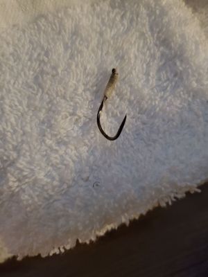 Gold Beach Inn by null