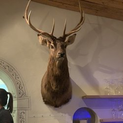 Dal Mulin - Who greets you when you walk in