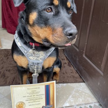 Off Leash K9 Training Sacramento - Certificate of Completion ! - Pet Training Near Me - Sacramento, California Off Leash K9 Training Sacramento - Certificate of Completion ! - Pet Training Near Me - Sacramento, California