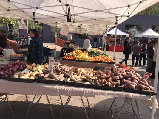 Pershing Square Farmers Market by null