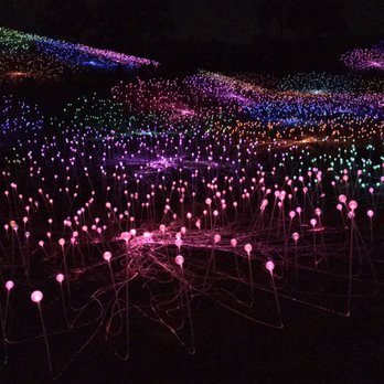 Sensorio - Sensorio. 2019. Bruce Munro. - Art Galleries Near Me - Paso Robles, California Sensorio - Sensorio. 2019. Bruce Munro. - Art Galleries Near Me - Paso Robles, California