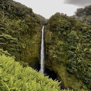 Akaka Falls State Park - 'Akaka Falls - Parks Near Me - Honomu, Hawaii Akaka Falls State Park - 'Akaka Falls - Parks Near Me - Honomu, Hawaii