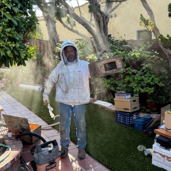 1. Bee Removal