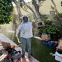 Bee Removal