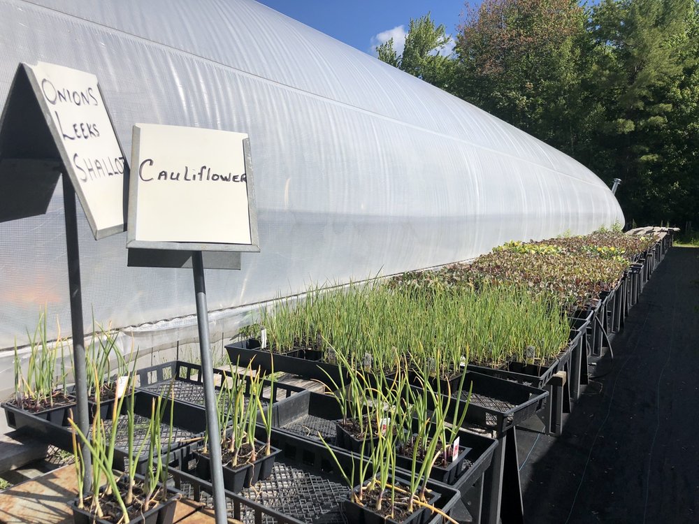 HUTCHINGS GREENHOUSE Updated August 2024 10 Photos 445 Riverside Dr, Eddington, Maine