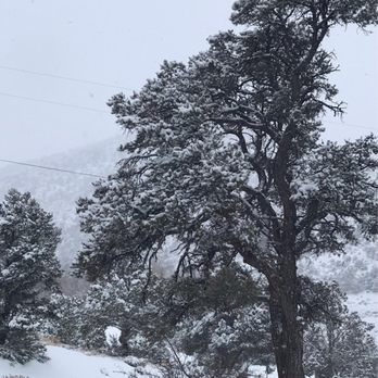 Mountain Springs Peak - January 2021, snowy day - Hiking Near Me Mountain Springs Peak - January 2021, snowy day - Hiking Near Me