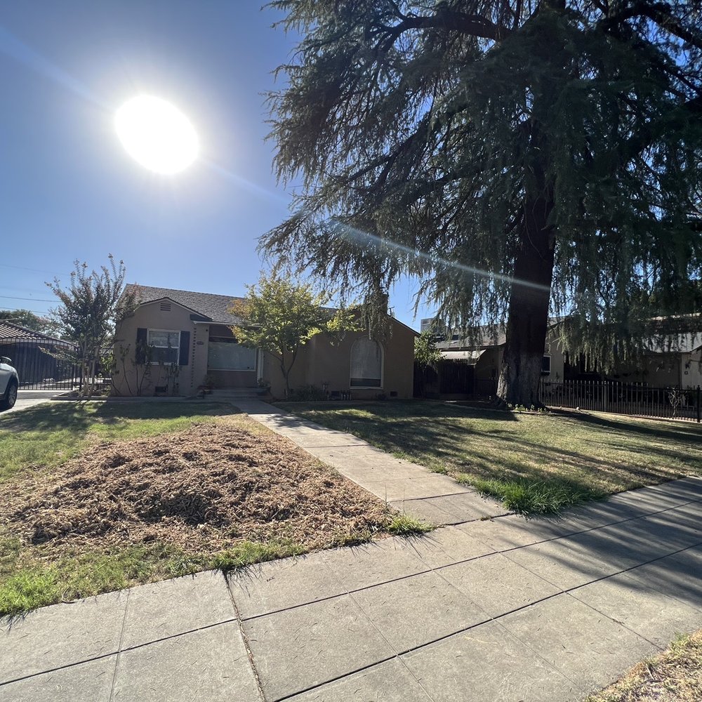 Caliarbor - After- tree on left cut down & bottom of large cedar trimmed - Tree Services Near Me Caliarbor - After- tree on left cut down & bottom of large cedar trimmed - Tree Services Near Me