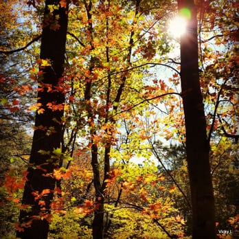 Fallingwater - A glorious fall day on the grounds... - Landmarks & Historical Buildings Near Me - Mill Run, Pennsylvania