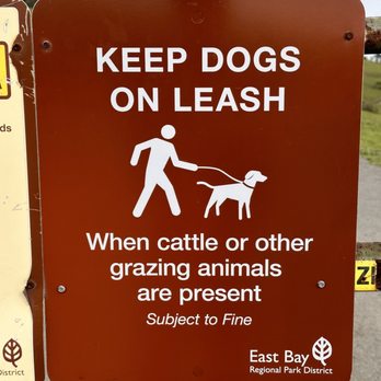 Wildcat Canyon Regional Park - keep dogs on leash when cattle or other grazing animals are present - Parks Near Me - Richmond, California Wildcat Canyon Regional Park - keep dogs on leash when cattle or other grazing animals are present - Parks Near Me - Richmond, California