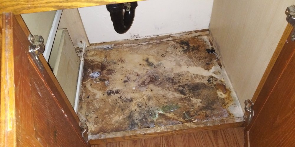 KIER MANAGEMENT Updated March 2024 15 Photos 3710 Quincy Ave