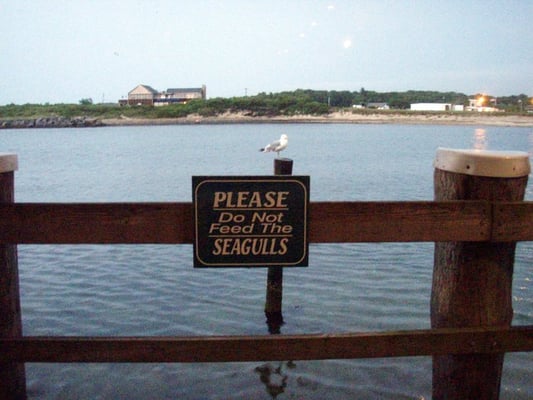 Gosman's Restaurant by null