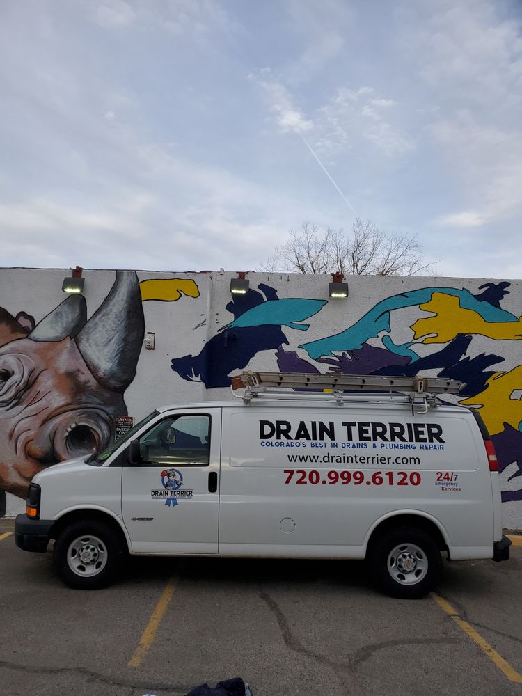 Slide of Drain Terrier