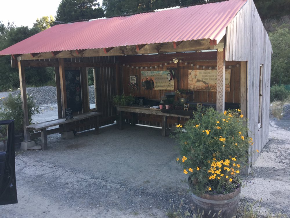 Slide of Performance Roofing