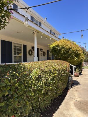 Tolenas Winery by null