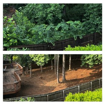 Dylan's Tree Services & Landscaping - Before and after - Landscaping Near Me - Austell, Georgia Dylan's Tree Services & Landscaping - Before and after - Landscaping Near Me - Austell, Georgia