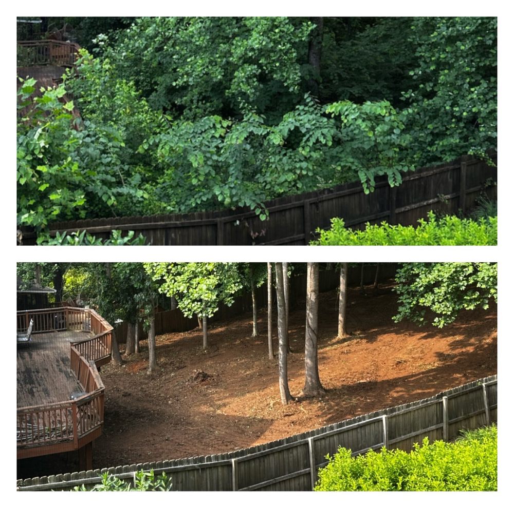 Dylan's Tree Services & Landscaping - tree service in Austell, GA