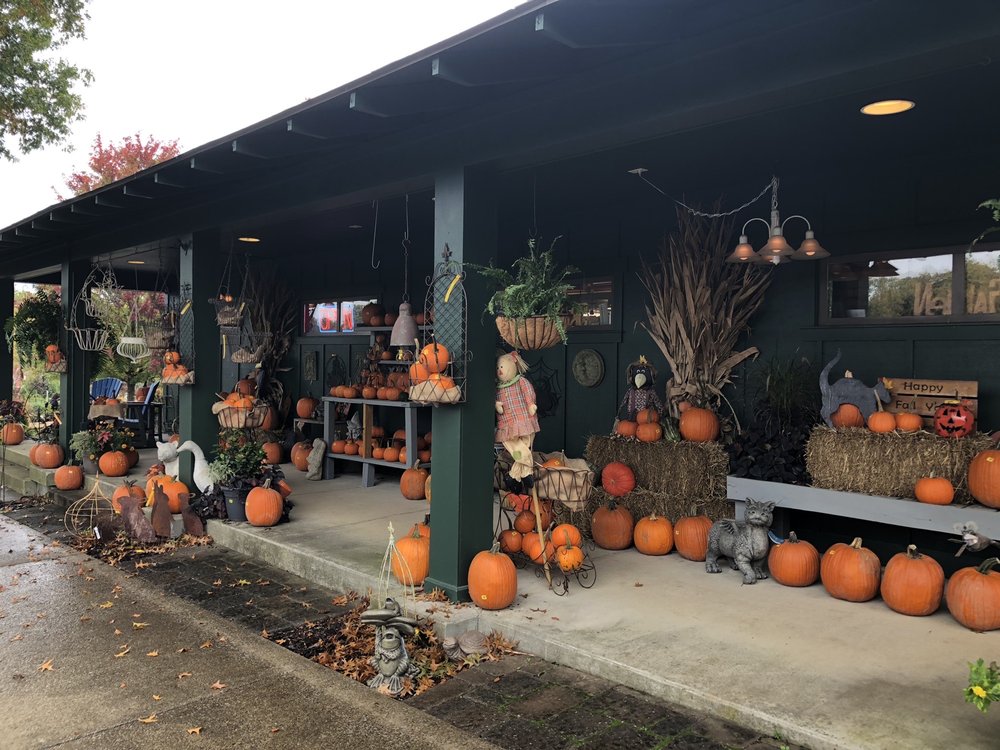 REDMOND’S GARDEN CENTER Updated September 2024 10 Reviews 4432