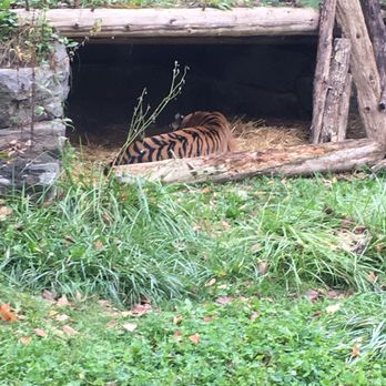 Toronto Zoo - Zoos Near Me - Toronto, Ontario Toronto Zoo - Zoos Near Me - Toronto, Ontario