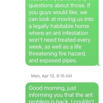 BSU Rentals - To add to it, we moved into an extreme ant infestation - Property Management Near Me - Muncie, Indiana BSU Rentals - To add to it, we moved into an extreme ant infestation - Property Management Near Me - Muncie, Indiana