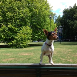 Rockley Gardens