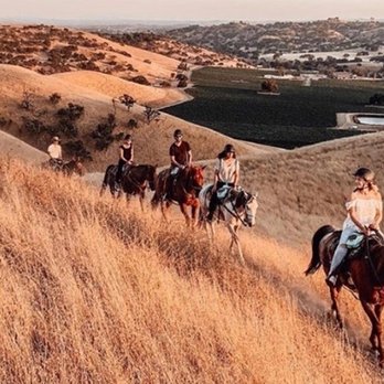 Cass Winery - I want to come back for the "Camp Cass" - Wineries Near Me - Paso Robles, California