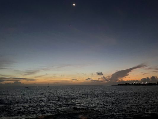 Don the Beachcomber by null