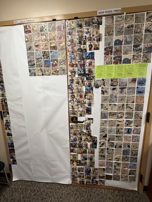 Ben Reifel Visitor Center by null