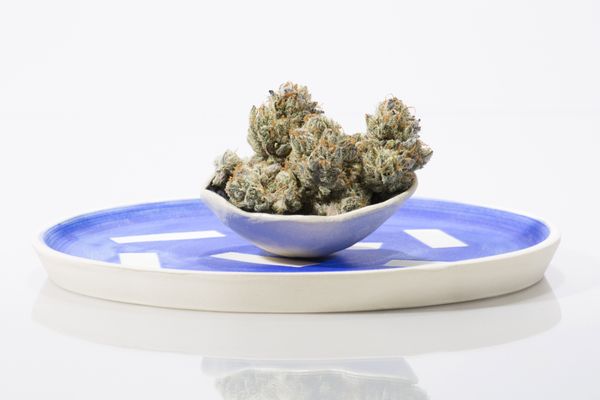 Serra Dispensary by null