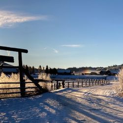 Little Jennie Ranch