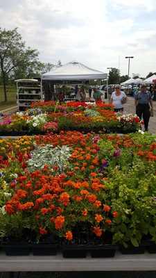 Pittsfield Township Farmers Market by null
